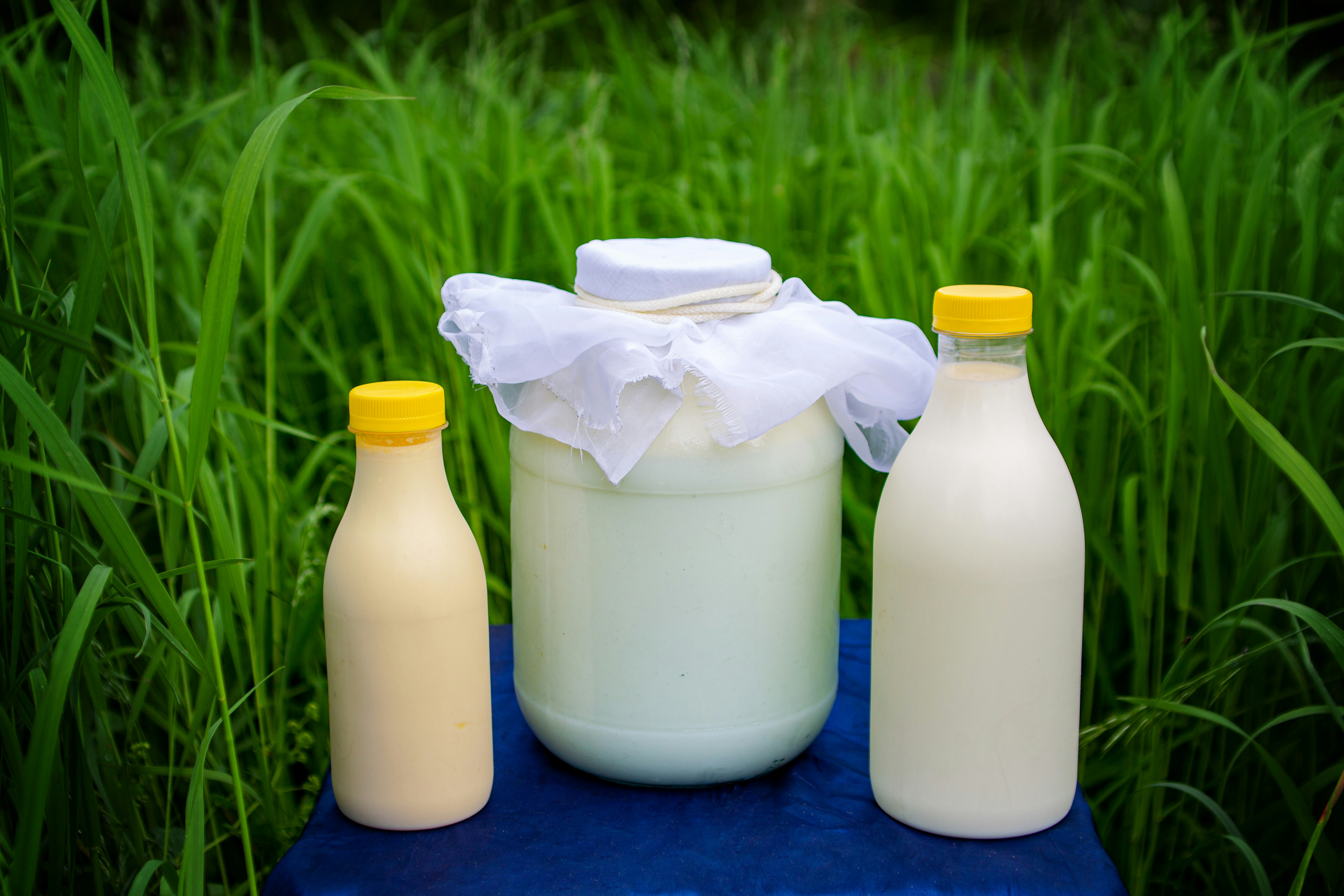 Dairy Products